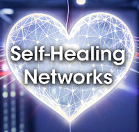 Self-Healing Network Switches